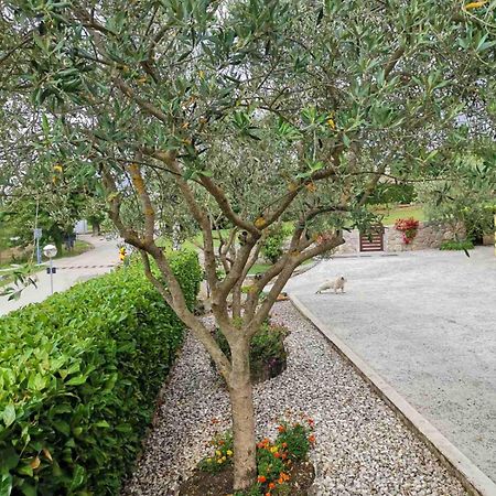 Soba Gracijela Hotel Motovun Luaran gambar